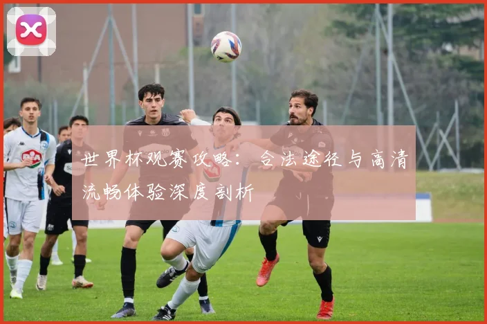 世界杯观赛攻略：合法途径与高清流畅体验深度剖析