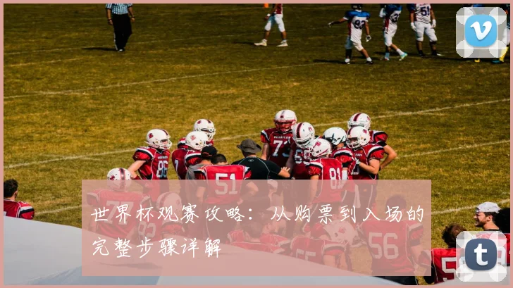 世界杯观赛攻略:从购票到入场的完整步骤详解