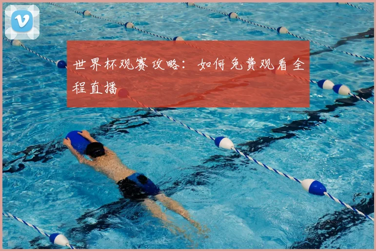世界杯观赛攻略：如何免费观看全程直播