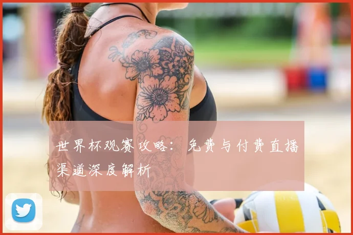 世界杯观赛攻略:免费与付费直播渠道深度解析